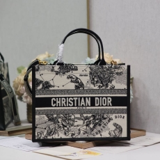 Christian Dior Shopping Bags